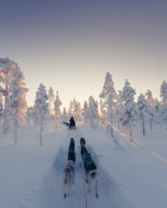 Trang chủ 4 christoph nolte rGhCEfwB Lo unsplash