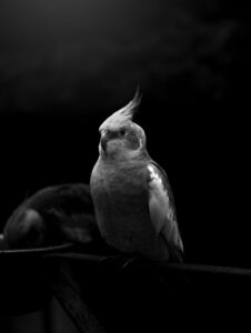 Trang chủ 5 ivan diaz 9DOki9ZaEjE unsplash