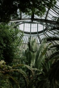 Trang chủ 9 mieke campbell JSwqRRX G Q unsplash