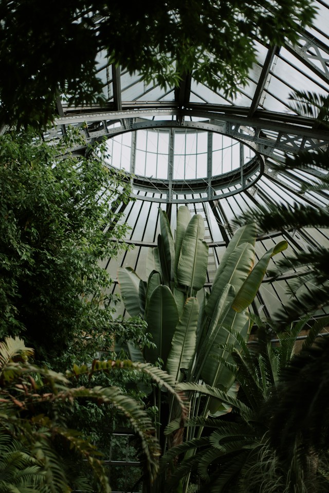 mieke campbell JSwqRRX G Q unsplash